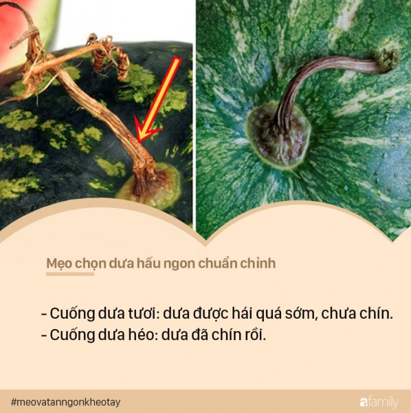 Với 5 bí kíp này, các mẹ nhìn qua cũng biết quả dưa hấu nào ngon chuẩn chỉnh, quả nào nhạt thếch