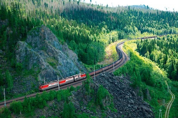 Bị trả về trung tâm kinh doanh thú cưng, chú chó nhảy khỏi tàu và băng rừng hơn 200km trở về với người chủ đã từ bỏ mình