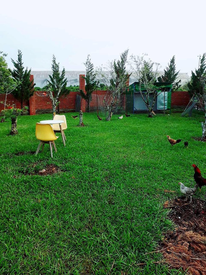 Lý Nhã Kỳ mua 50 héc-ta đất ở Đà Lạt để trồng rau, nuôi gà
