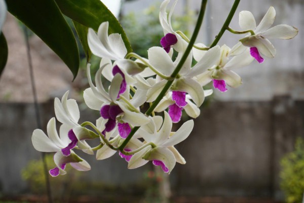 Cẩn thận với trend 