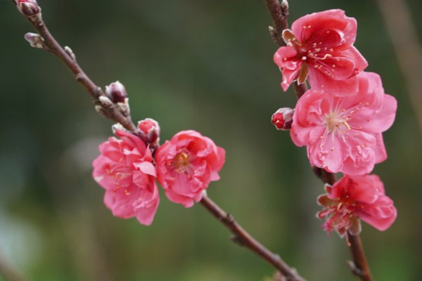 Cẩn thận với trend 