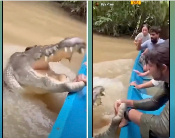 Hiểm họa những video giả từ AI