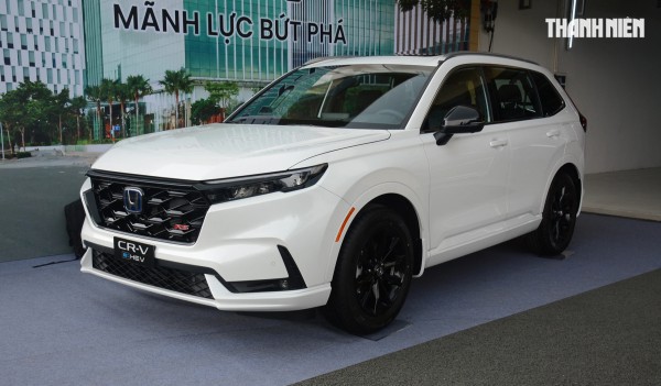 Người Việt mua sắm ngày càng nhiều ô tô hybrid, xe Toyota chiếm đa số
