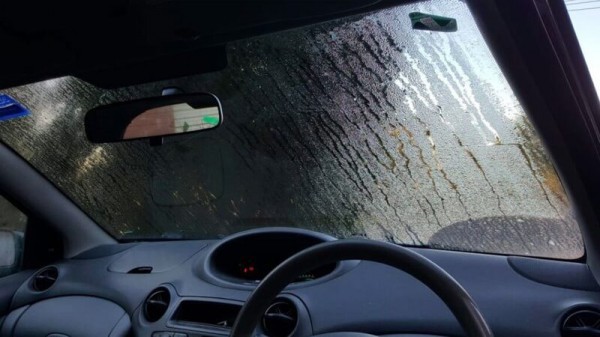 Nồm ẩm kéo dài, ô tô đối mặt nguy cơ nấm mốc