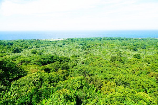 13 đặc khu của Việt Nam: Đặc khu Cồn Cỏ pháo đài xanh trên Biển Đông 13 đặc khu của Việt Nam: Đặc khu Cồn Cỏ pháo đài xanh trên Biển Đông