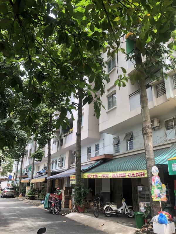 Ban quản trị Ehome 1 Đông Sài Gòn xin lỗi vì đốn hạ 3 cây sao đen 14 năm tuổi Ban quản trị Ehome 1 Đông Sài Gòn xin lỗi vì đốn hạ 3 cây sao đen 14 năm tuổi