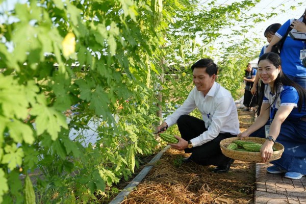 Bất ngờ với vườn rau sạch tự cung, thầy cô và sinh viên cùng chăm sóc