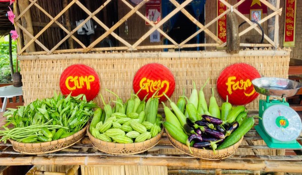 Bất ngờ với vườn rau sạch tự cung, thầy cô và sinh viên cùng chăm sóc