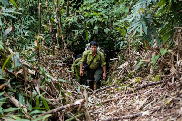 ”Biệt đội bẫy ảnh” săn tìm dấu chân thú hoang