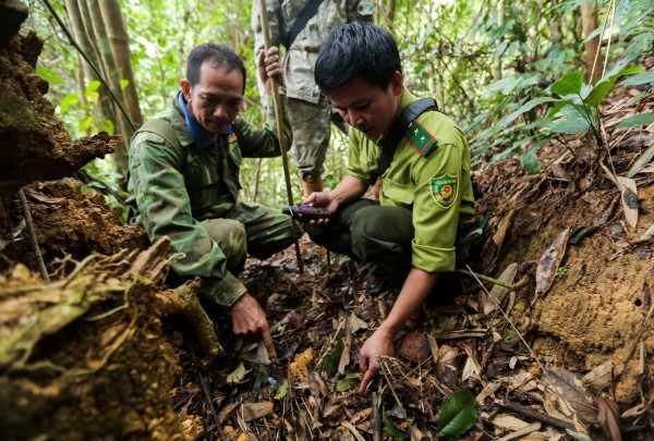 ”Biệt đội bẫy ảnh” săn tìm dấu chân thú hoang