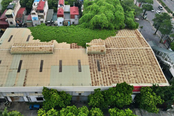 Cận cảnh 9 cơ sở phải di dời khỏi nội thành Hà Nội Cận cảnh 9 cơ sở phải di dời khỏi nội thành Hà Nội