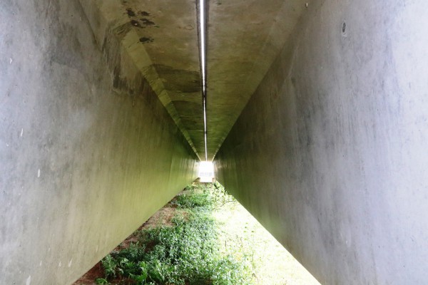 Cận cảnh cầu 220 tỉ đồng bắc qua sông Trường Giang 