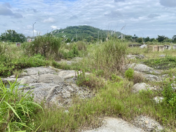 Cận cảnh dự án khu dân cư 400 tỉ đồng bị bỏ hoang ở TP.Quảng Ngãi