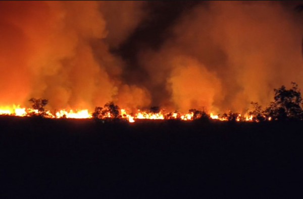 Cháy rừng ở An Giang, nơi đàn sếu đầu đỏ từng về kiếm ăn