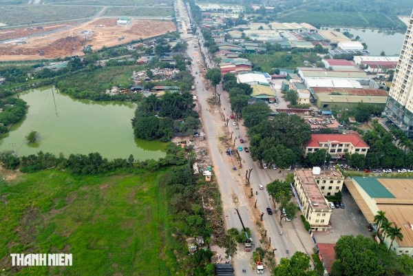 Hà Nội: Chặt hạ, dịch chuyển hàng xà cừ cổ thụ trên đường 70