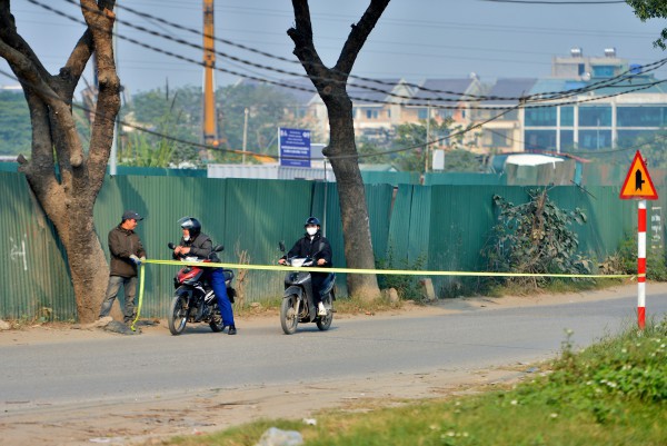 Hà Nội: Chặt hạ, dịch chuyển hàng xà cừ cổ thụ trên đường 70