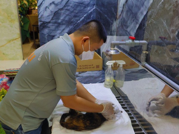 Hỏa táng thú cưng: Sự 