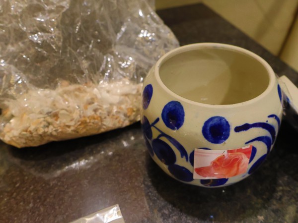 Hỏa táng thú cưng: Sự 