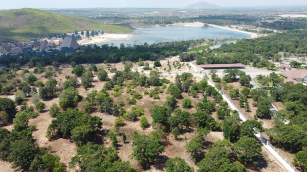 Lâm Đồng kiến nghị Thủ tướng gỡ vướng dự án sân golf Đồi Cù, rừng dầu Hồng Liêm