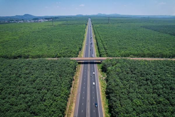 Mối nguy dừng xe trên cao tốc: Nhiều tài xế tự đẩy mình vào nguy hiểm