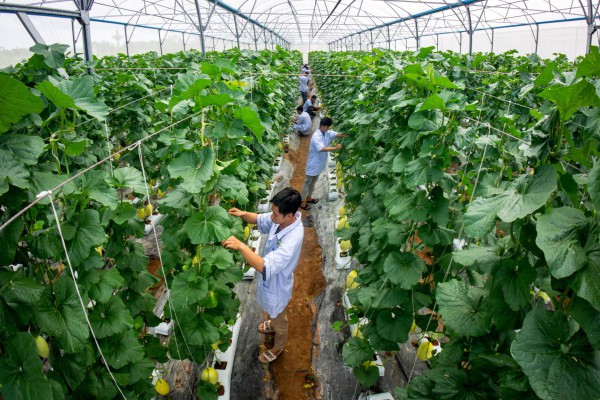 Mức học phí Trường ĐH Cửu Long phù hợp với sinh viên ĐBSCL Mức học phí Trường ĐH Cửu Long phù hợp với sinh viên ĐBSCL