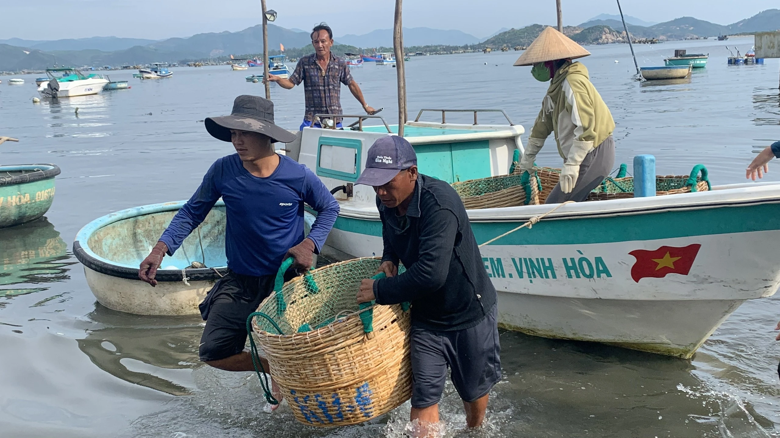 Ngư dân thiệt hại tiền tỉ vì tôm hùm, cá mú chết trắng lồng sau một đêm