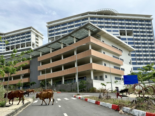 Người dân thả bò trong dự án bệnh viện 1.500 giường dự kiến vận hành quý 2.2024