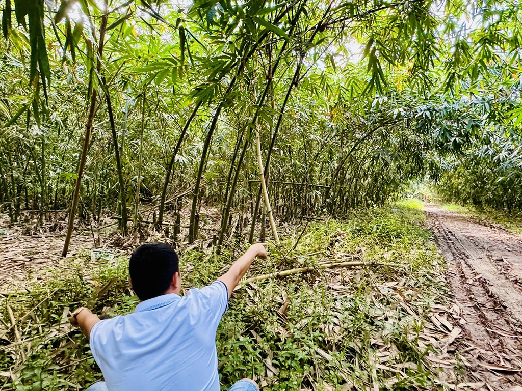 Nhiều lô đất ở Bình Dương bị cấp trùng sổ đỏ