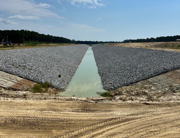 Những kiến nghị táo bạo