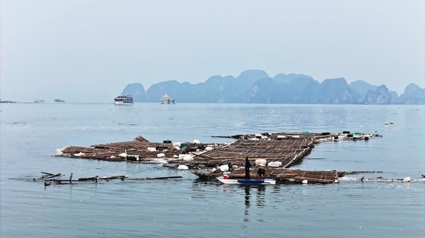 Rác thải "uy hiếp" vịnh Hạ Long