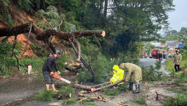 Sạt lở đèo Khánh Lê, đèo Ngoạn Mục: CSGT Lâm Đồng giải cứu nhiều người trong đêm