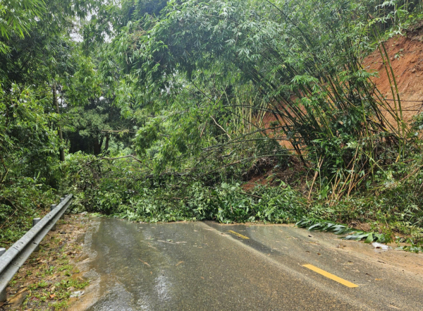 Sạt lở nghiêm trọng trên đèo Gia Bắc: Đường bị xé toạc Sạt lở nghiêm trọng trên đèo Gia Bắc: Đường bị xé toạc