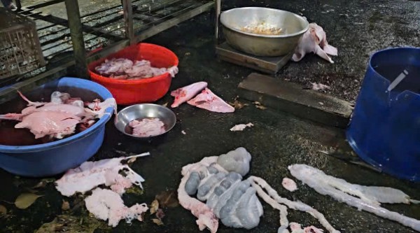 TP.HCM: Công an bắt quả tang lò mổ heo lậu, hoạt động sát nghĩa trang