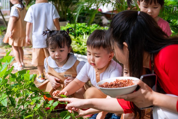 TP.HCM: Học sinh trường ngoài công lập háo hức tựu trường năm học mới