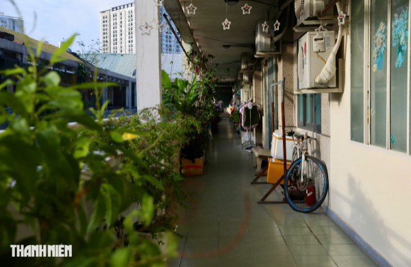 TP.HCM trao tặng nhà mới cho nhà nghiên cứu Nguyễn Đình Tư ở tuổi 106