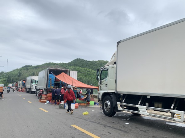 Thủ phủ tôm hùm vịnh Xuân Đài 