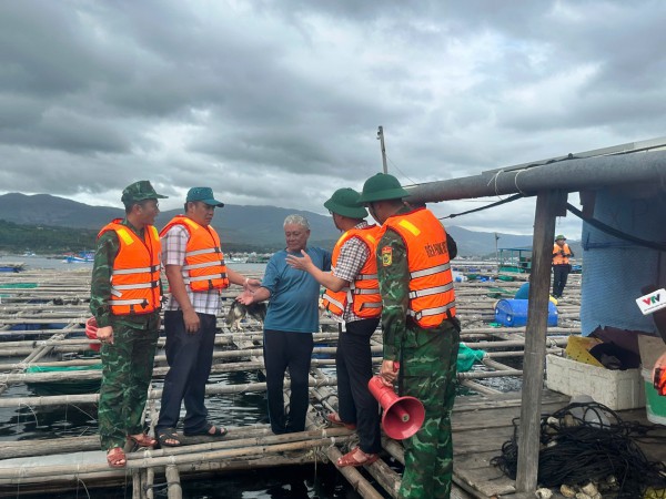 Thủ phủ tôm hùm vịnh Xuân Đài 