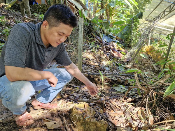 Tỉ phú sâm Ngọc Linh méo mặt vì… 