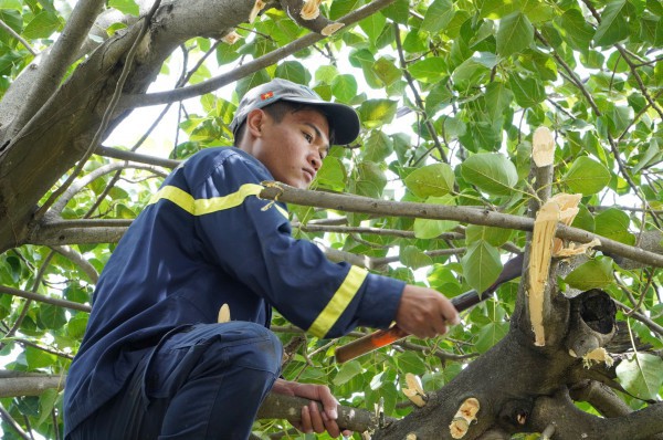 Trước giờ bão số 13 Kalmaegi đổ bộ, người dân ven biển chạy đua với thời gian