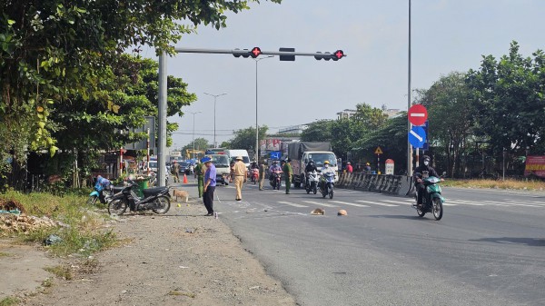Truy tìm ô tô liên quan vụ cụ bà bị cán tử vong gần cầu Mỹ Thuận