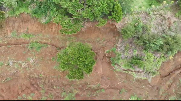 Viện Hàn lâm Khoa học và Công nghệ VN khảo sát sạt trượt đất ở Lâm Đồng