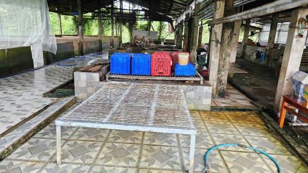Vụ Công ty C.P bị tố Vụ Công ty C.P bị tố
