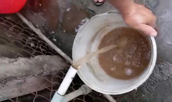 Vụ nước sinh hoạt ở Đồng Tháp đục ngầu: Chính quyền xã báo cáo gì?