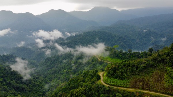 ”Biệt đội bẫy ảnh” săn tìm dấu chân thú hoang