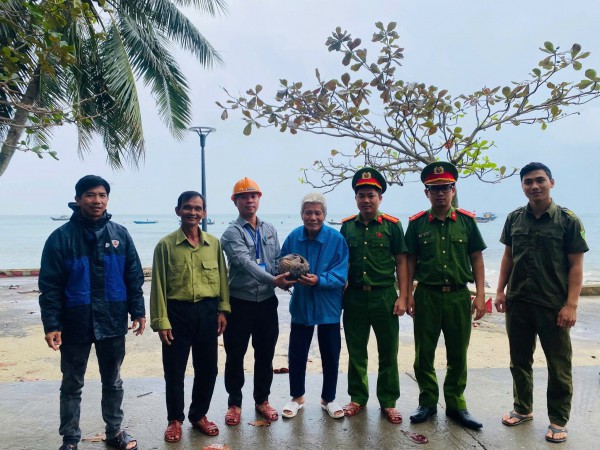 Đà Nẵng: Cá thể tê tê quý hiếm lạc vào nhà dân ở đảo Cù Lao Chàm