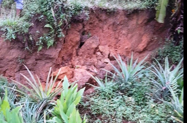 Đà Nẵng: Sườn đồi nứt toác kéo dài 500 m, đe dọa 60 hộ dân