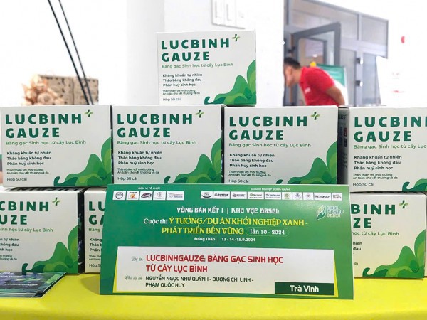 Độc đáo băng gạc y tế làm từ lục bình