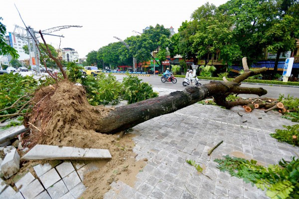 Đường phố Thanh Hóa ngập trong 