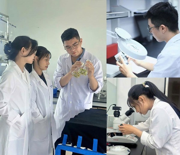 2025: Năm học với nhiều giải Nhất của SV ĐH Duy Tân