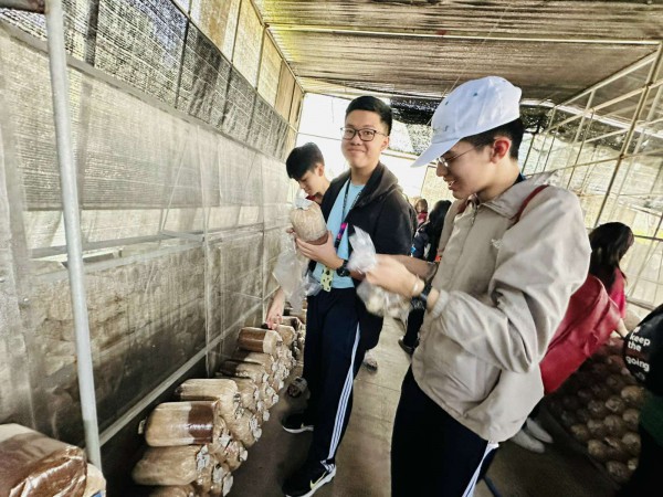 Diễn biến thời tiết phức tạp, Sở GD-ĐT TP.HCM đưa ra cảnh báo